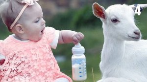 Скрещивание Людей и Животных 7 Экспериментов по Созданию Гибрида Человека и Животного