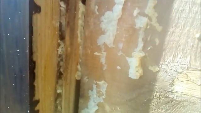 Термопанели фасадные ППУ. Развенчиваем мифы.