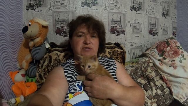 Только взяли и чуть не потеряли.Думали не выживет! смотреть онлайн