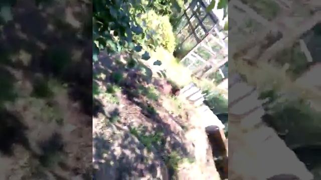 Бабушкин дом "номер 2" смотреть онлайн