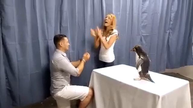 Как сделать предложение девушке? смотреть онлайн