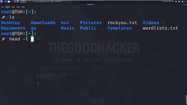 ¡NO LOS CONOCES! Los Mejores DICCIONARIOS y WORDLISTS en Kali Linux + Cómo Instalar #22 смотреть онлайн