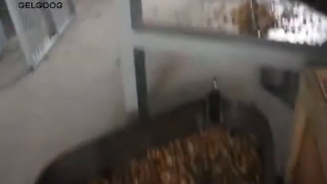 шелушение машины для миндаля смотреть онлайн