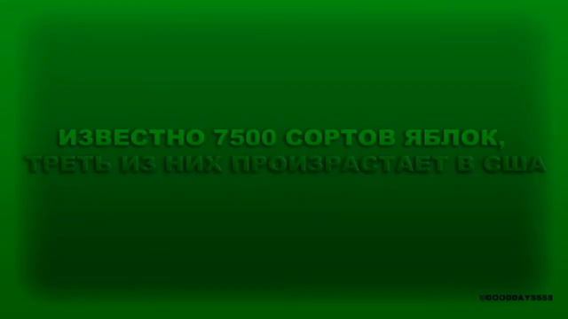 Интересные факты #3 [Овощи и фрукты]