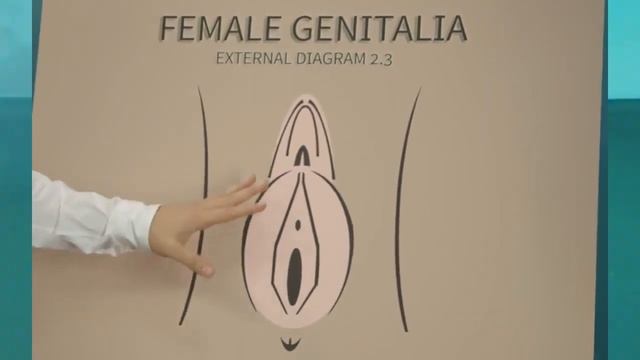 Лучшие Приколы Недели #7 GORILLA смотреть онлайн