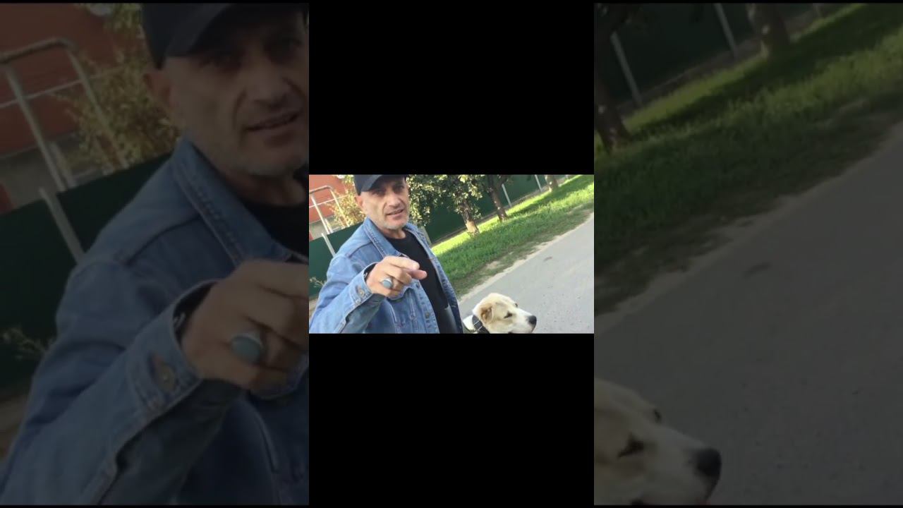 Бурная реакция на собак(Алабай) смотреть онлайн
