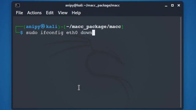 Converting Python Script to Debian Package - Changing MAC address manually смотреть онлайн