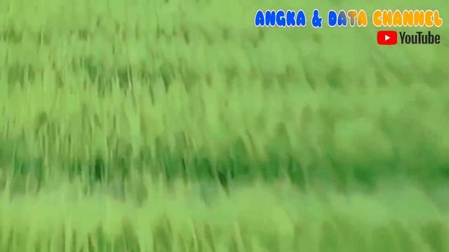 Bukan Jakarta? Inilah 15 KOTA TERMAJU di INDONESIA 2023‼️No. 1 mengejutkan... смотреть онлайн