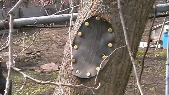 заживление глубоких дупел садовых деревьев смотреть онлайн