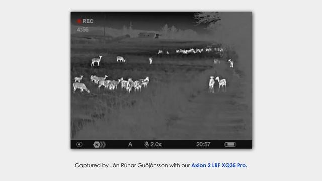 Pulsar Axion 2 LRF XQ35 Pro | Red and fallow deer | By Jón Rúnar Guðjónsson смотреть онлайн