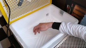 Китайский инкубатор И-24 от минифермер. Честный отзыв. Плюсы и минусы.