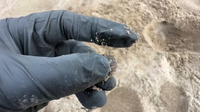 I Became A Treasure Hunter - Metal Detecting on Canada's Beaches | Bounty Hunter Tracker IV смотреть онлайн