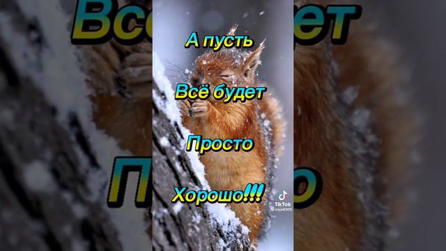 19 ноября 2022 г. смотреть онлайн