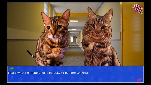 Cat President: A Purrfect Union смотреть онлайн