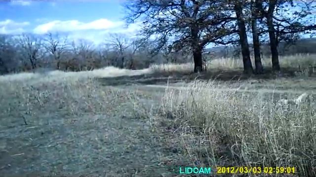 Upland game hat cam hunt смотреть онлайн
