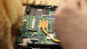 Разборка и чистка  Asus X556U/ Disassembling and cleaning a laptop