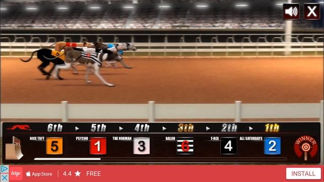 Greyhound Racing Dog Race Android iOS Gameplay смотреть онлайн