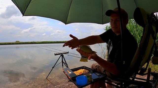 Ловля КАРАСЯ на ФЛЭТ ФИДЕР | РЫБАЛКА на ДИКОМ водоеме смотреть онлайн