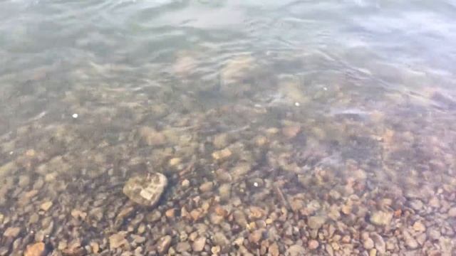 Жара на АЛТАЕ, 18.10.2020 можно купаться на Катуни//погода в октябре смотреть онлайн