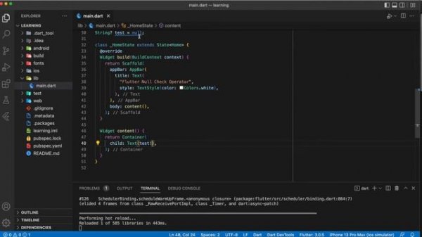 null check operator used on a null value | Flutter