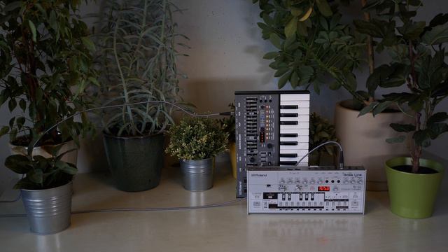 Snot Monkey - Acid 034 (Behringer RD-6, Roland Boutique TB-03, TR-06, SH-01a) (Electro Acid) (?) смотреть онлайн