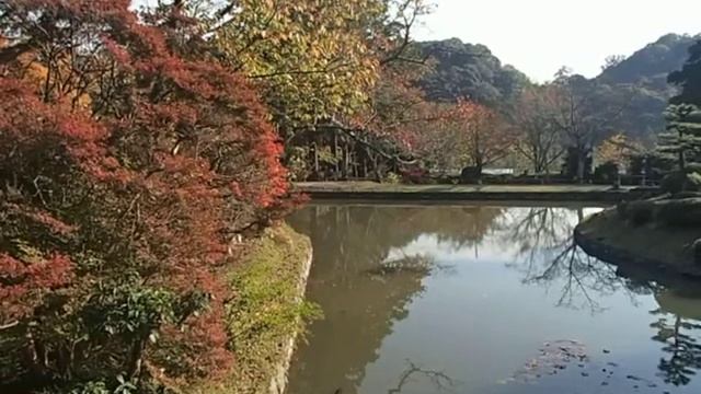 動画　大阪散歩　根来寺を歩く　その２　覚鑁(かくばん）のこと смотреть онлайн
