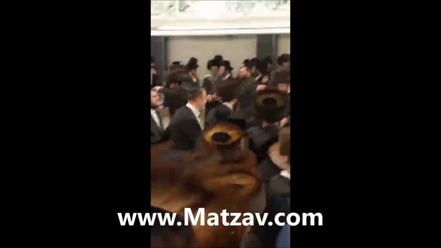 Wedding of Shmueli and Yiddes Ungar смотреть онлайн