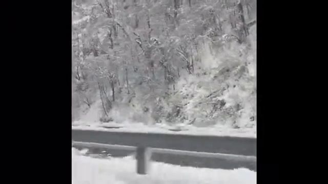 В Красной поляне снег смотреть онлайн