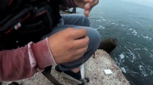 Какой самодур эффективней на СТАВРИДУ с берега.