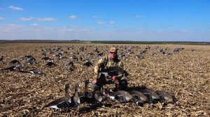 Обзор профилей белолобого гуся MoroZz hunt.