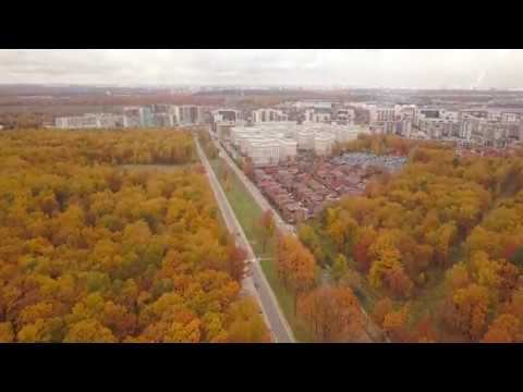 Золотая осень в Новой Москве. 06.10.2019 смотреть онлайн