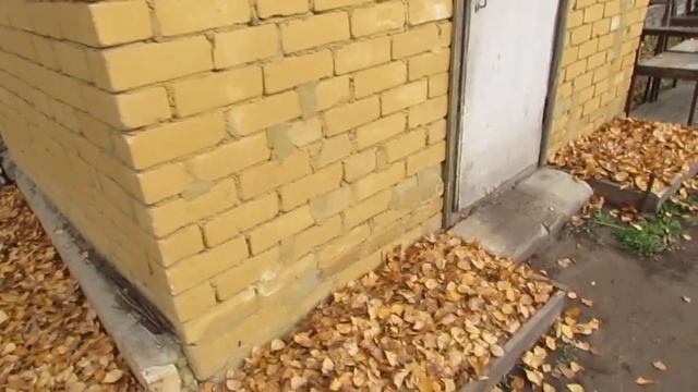 Октябрь 2019. Основное Осеннее Мульчирование почвы на дачном участке смотреть онлайн