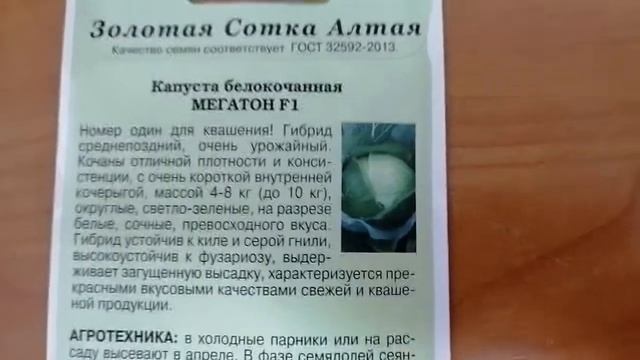 ХИТ! КАПУСТА МЕГАТОН. СОВЕТУЮ ПОСЕЯТЬ, ОБЗОР смотреть онлайн