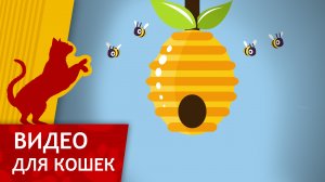 Видео для кошек - Переполох в Улье (Развлеки кота)