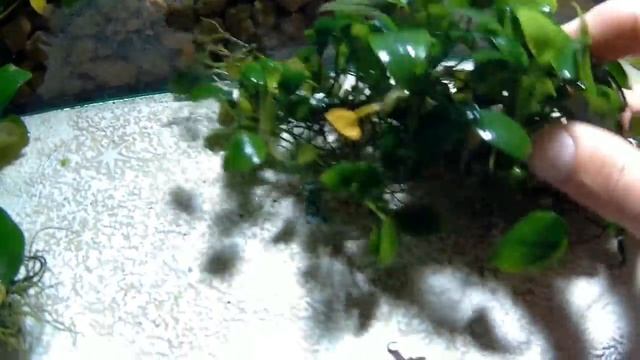 БИЗНЕС ИДЕЯ ДЛЯ ЛЕНИВЫХ!!! смотреть онлайн