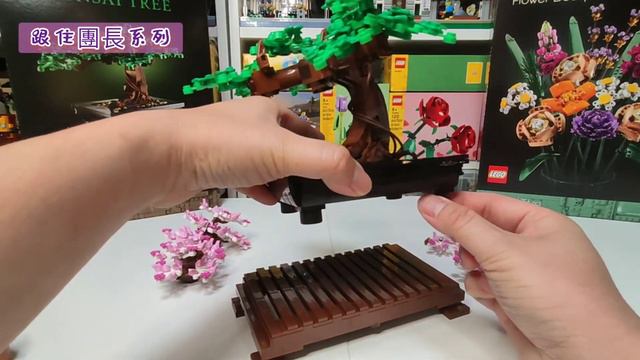 10281 盆景樹 LEGO Bonsai Tree 櫻花樹 смотреть онлайн