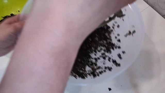 Почему орхидеи погибают после покупки