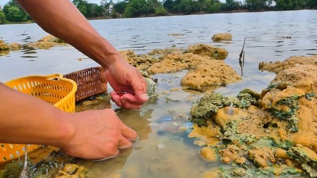 Check out the huge gold nuggets, gems and diamonds in the secret caves. смотреть онлайн