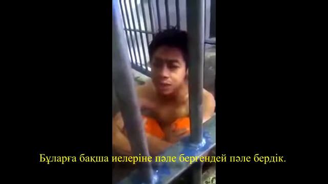 Куран смотреть онлайн