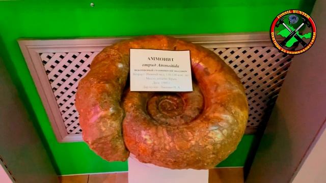 Огромный аммонит в Зоологическом музее Крымского университета. смотреть онлайн