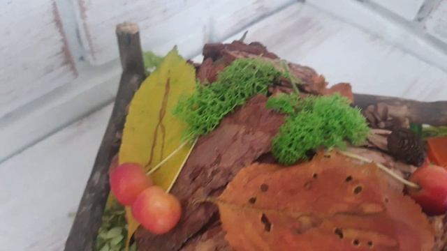 Поделка из природных материалов смотреть онлайн