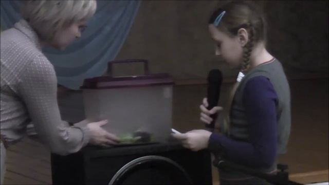 Праздник домашних животных смотреть онлайн