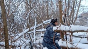 Охота из засидки на лису.  Главный секрет удачной охоты.