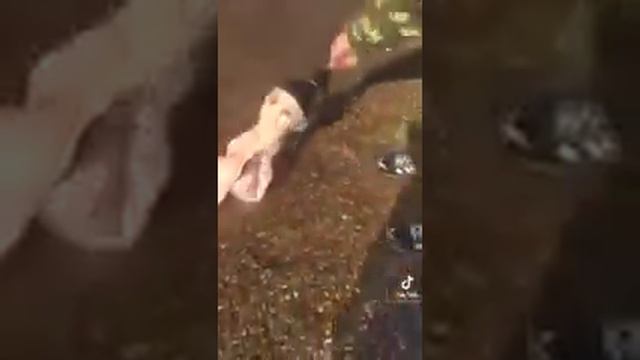 музыка+италодиско!😎🇷🇺🔥👏ловил рыбу!😎поймал русалку! 😂👏 смотреть онлайн