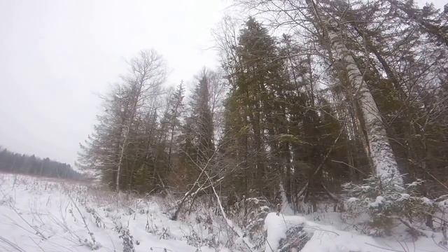 Охота на лося. 2016 смотреть онлайн