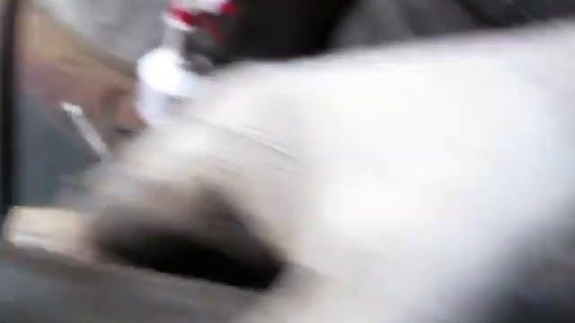 снятие поддона и осмотр маслоприёмника андория смотреть онлайн