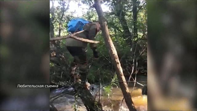 За прошлый год волонтеры "Примпоиска" обнаружили сотни пропавших людей смотреть онлайн