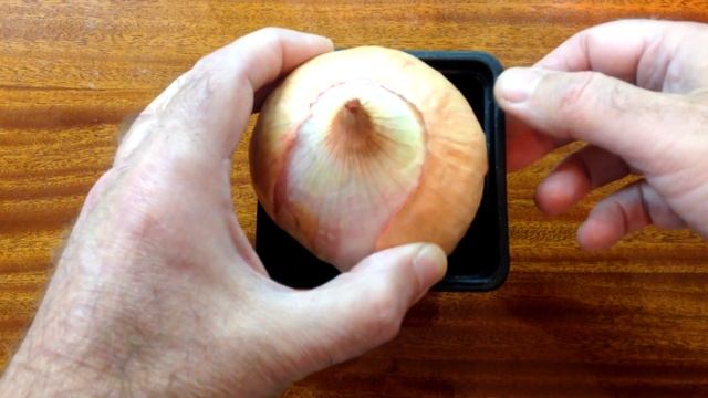 ? Ч 1. Как получить свои семена лука эксибишен. С чего начать. смотреть онлайн