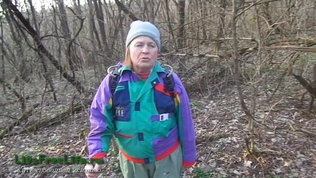 Чистец весенний (чистяк) - ранневесенняя витаминная зелень смотреть онлайн