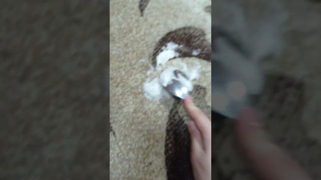 вышкрубываем синюю ручку с ковра смотреть онлайн